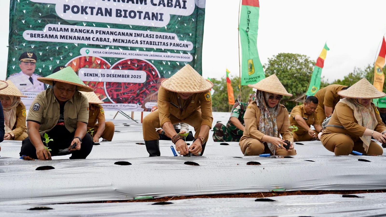 Kendalikan Inflasi Daerah, Pemkab Bogor dan Poktan Biotani Lakukan Penanaman Cabai di Jasinga