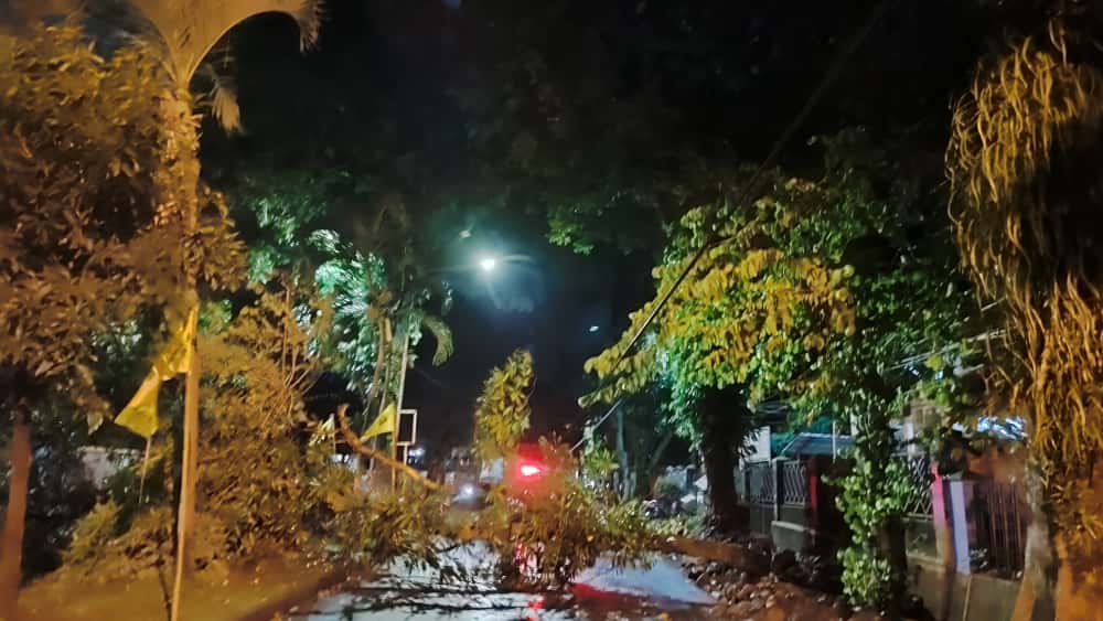 Pohon Besar Tumbang Melintang, Nyaris Timpa Mobil Wartawan di PWI Kota Bogor