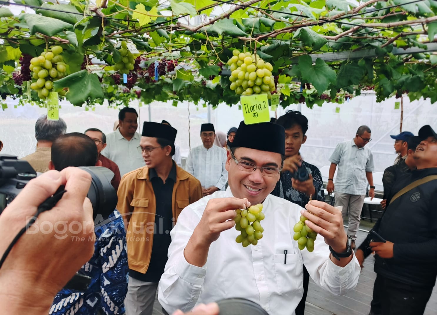 Rektor IPB University Panen Anggur di Agribusiness and Technology Park Dramaga