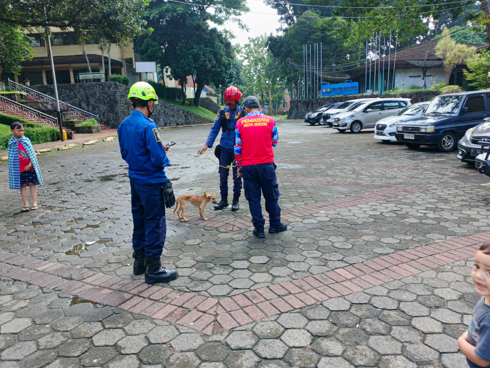 Berkeliaran di Lingkungan Warga, Damkar Kota Bogor Evakuasi Hewan Liar yang Meresahkan Warga Biotrop