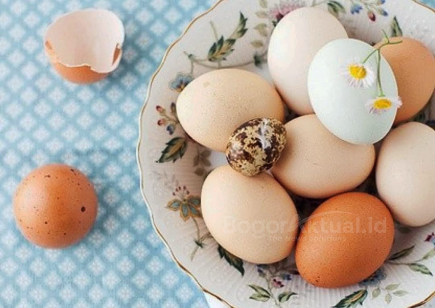 Rahasia Memasak Telur yang Baik dan Benar Anjuran Pakar Genetika Ekologi