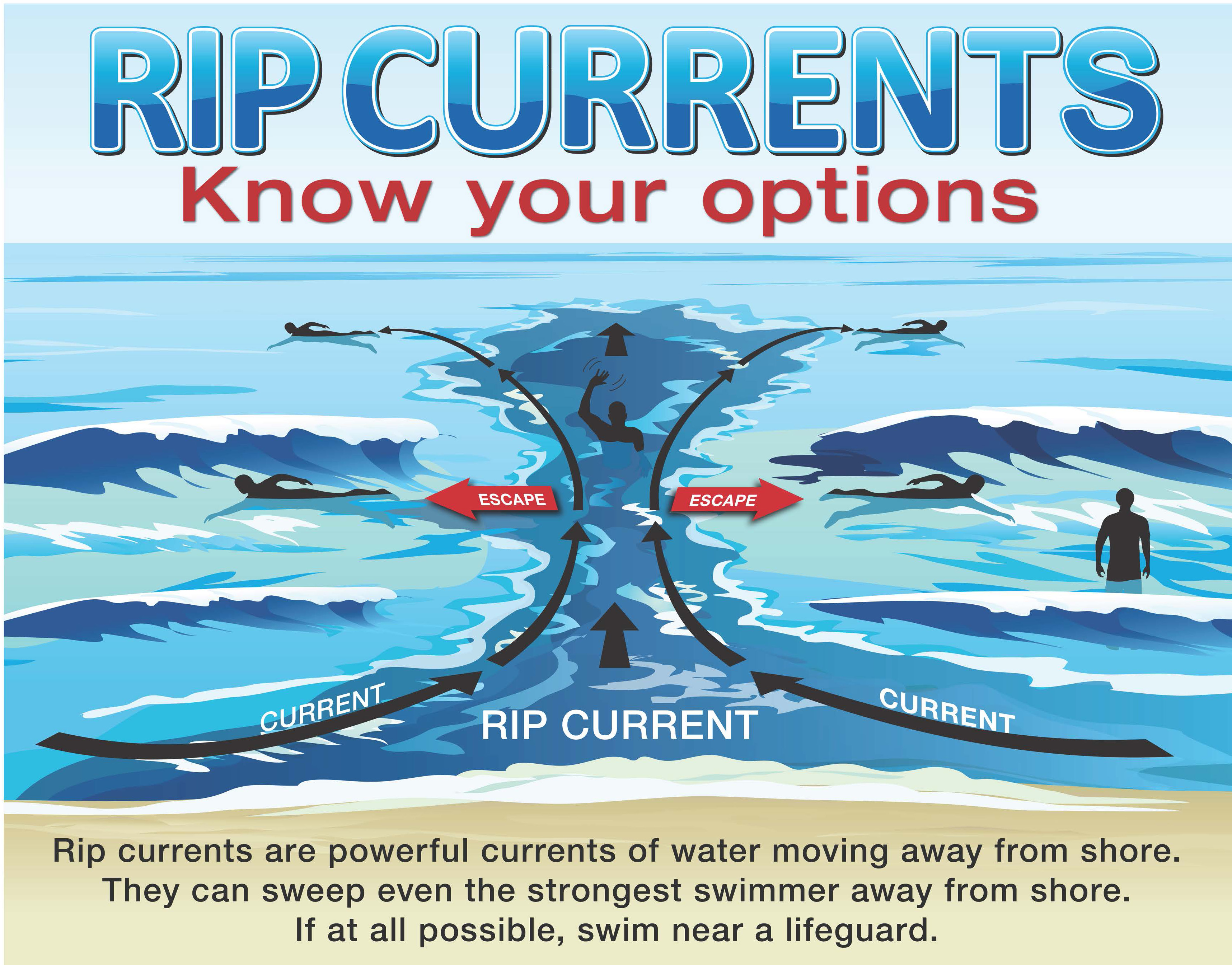 Mengenal Rip Current: Arus Mematikan di Pantai dan Cara Menyelamatkan Diri