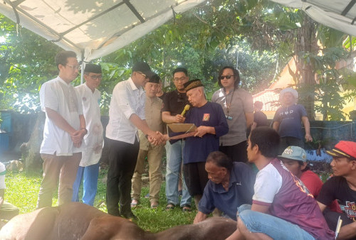 PWI Kota Bogor Sembelih Sapi Kurban Idul Adha, Simbol Kolaborasi Wakil Wali Kota Bogor 