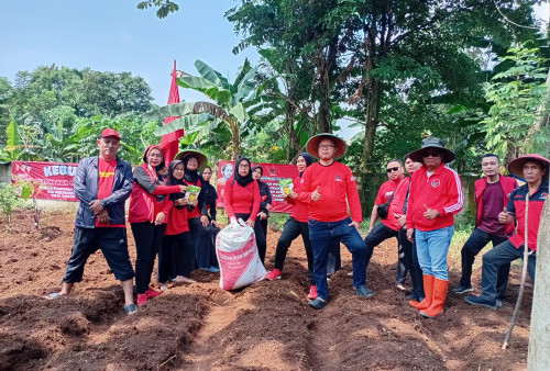 Perempuan PDI Perjuangan Kota Bogor Tanam Pangan Alternatif, Tindak Lanjut Instruksi Megawati di Hari Kartini