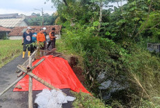 BPBD Kota Bogor Tangani 17 Kejadian Bencana Tanah Longsor Akibat Hujan Deras