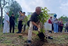 Seribu Pohon Ditanam di Puncak Ajip, Wujud Nyata Peduli Lingkungan