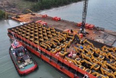 Project Cetak Satu Juta Sawah di Merauke Berjalan Mulus, Ratusan Excavator Mulai Didatangkan