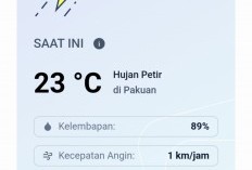 Petir Mendadak Sambar Langit Pakuan, Kota Bogor di Malam Takbiran Idul Adha 2025