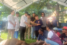 PWI Kota Bogor Sembelih Sapi Kurban Idul Adha, Simbol Kolaborasi Wakil Wali Kota Bogor 