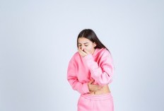 Wajib Coba! Tips yang Perlu Kalian Ketahui Saat Mabuk Perjalanan