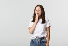 Sering Mengantuk Setelah Makan? Ini Faktor yang Menyebabkan Rasa Ngantuk Setelah Makan