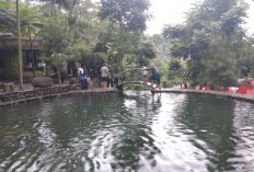 Libur Panjang, Objek Wisata Lembah Batu Pamijahan Dipadati Ribuan Pengujung