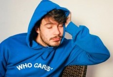 Lirik Lagu The Shade oleh Rex Orange County Beserta Terjemahannya