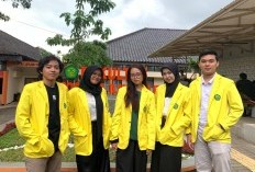 Menilik Efektivitas Sistem Proporsional Terbuka Dalam Pemilu di Indonesia