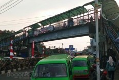 Ini Tarif 3 Trayek Angkot di Kota Bogor: Informasi Lengkap untuk Pengguna