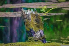 Lima Tempat Wisata di Bandung Paling Menarik dan Wajib Dikunjungi