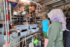 Masyarakat Sambut Baik Program KRL, Dorong Budaya Peduli Lingkungan di Kabupaten Bogor