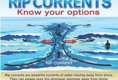 Mengenal Rip Current: Arus Mematikan di Pantai dan Cara Menyelamatkan Diri