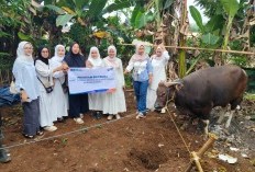 BRI Peduli Salurkan Bantuan Daging Kurban ke Yayasan Kurnia Bhakti Utama Dramaga